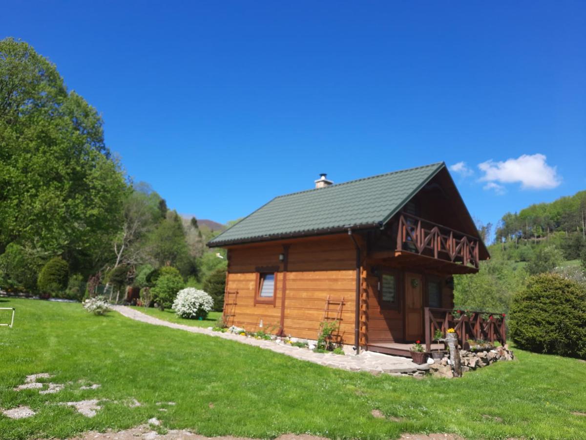 Domki Pod Lipa. Liszna Bagian luar foto